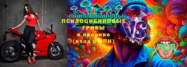 ГАЛЛЮЦИНОГЕННЫЕ ГРИБЫ Протвино