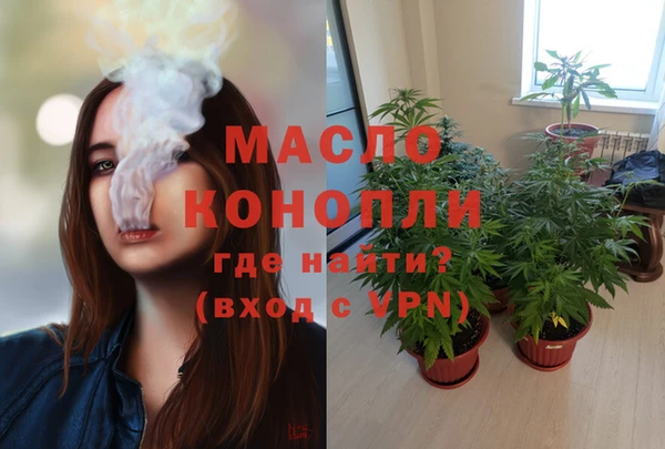 МДПВ Алзамай